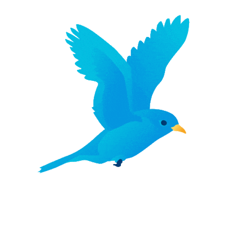 bird1